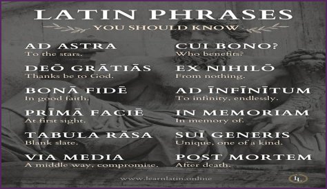 A Profile Of A Latin Beauty